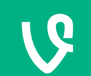 Vine